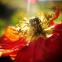 Album 2017 - die TOP 100 Bilder meines Jahres