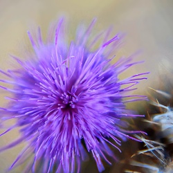 Album 2022 - die TOP 100 Bilder meines Jahres