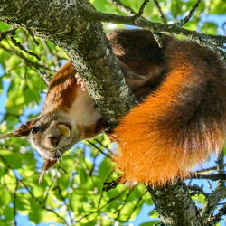 Album 2025 - 100 Augenblicke meines Jahres